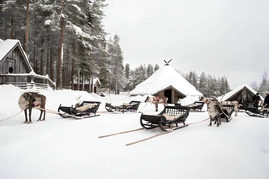 Rovaniemi: Reindeer Safari at 200-Year-Old Farm & Sled Ride - Practical advice for a smoother visit