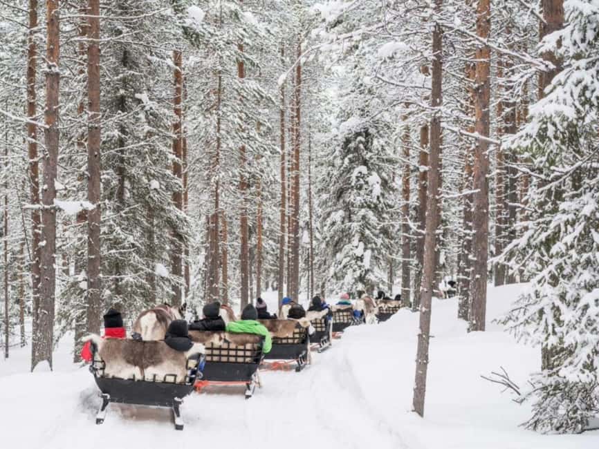 Rovaniemi: Reindeer Safari at 200-Year-Old Farm & Sled Ride - Should you book the reindeer safari?