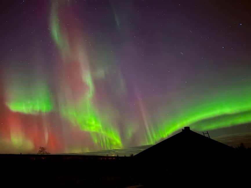 Rovaniemi: Santa's Reindeer and Husky Safari with Aurora BBQ - Who will enjoy this most