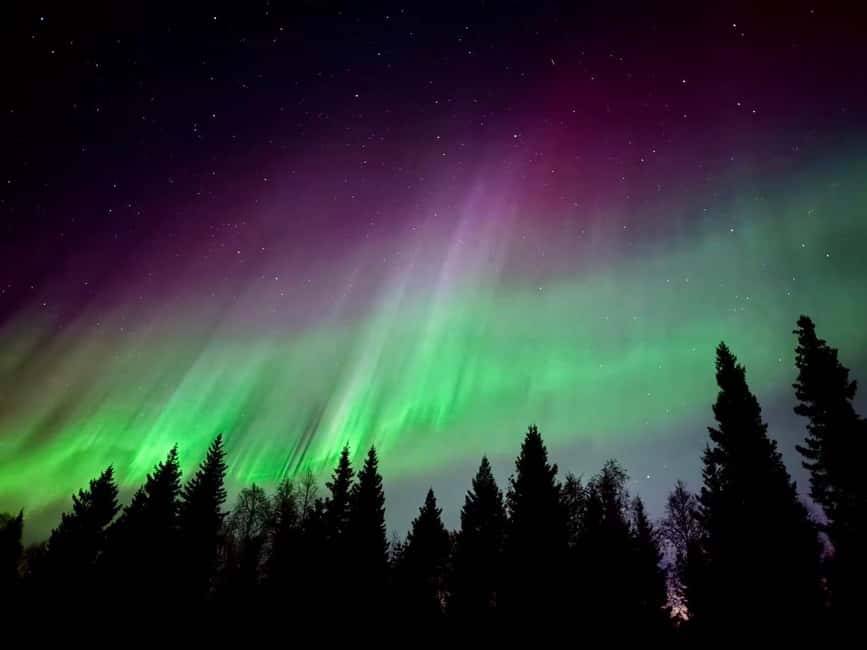 Rovaniemi: Santa's Reindeer and Husky Safari with Aurora BBQ - The guides make a bigger difference than the short rides