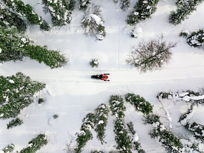Rovaniemi: Snowmobile Safari Adventure - From central Rovaniemi to the Arctic forest