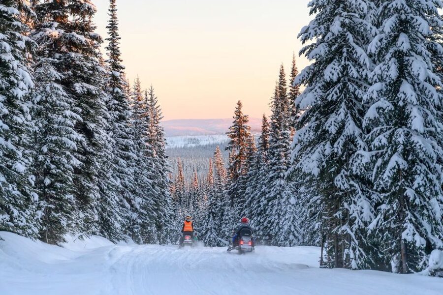 Rovaniemi: Snowmobile Safari Adventure - Switching drivers, taking photos, and staying warm