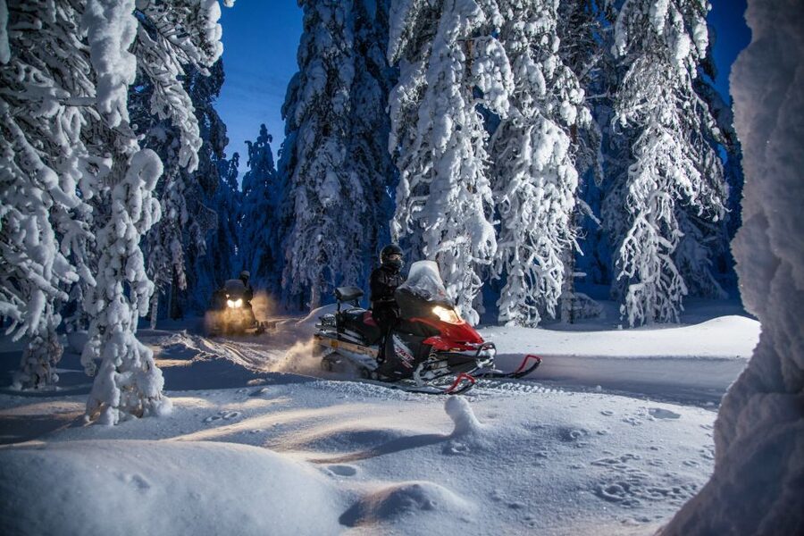 Rovaniemi: Snowmobile Safari & Campfire Evening Escape - The campfire in the middle of the forest