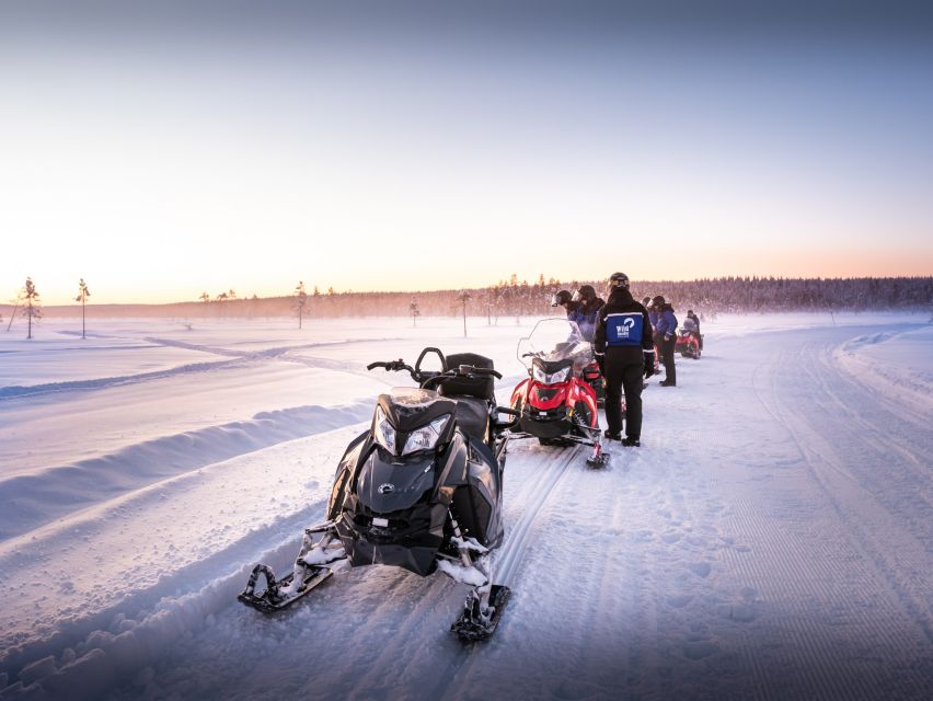 Rovaniemi: Snowmobile Safari into the Arctic Circle Forest - The environmental question