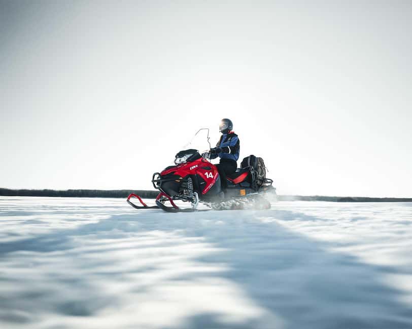 Rovaniemi: Snowmobile Safari into the Wilderness - Key points to know before you book