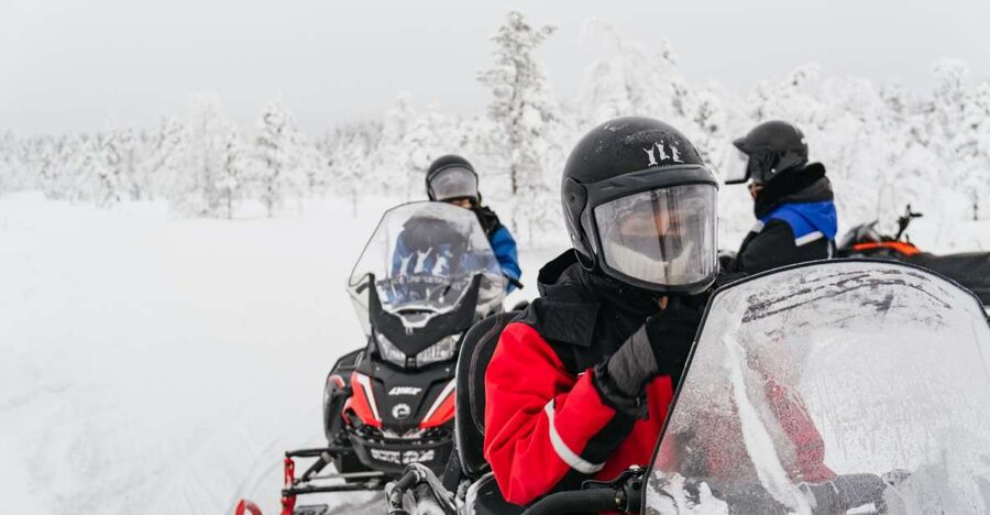 Rovaniemi: Snowmobile Safari, Reindeer & Husky Sleigh Ride - Price, group style, and who gets the best value