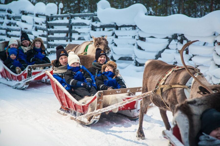 Rovaniemi: Snowmobile Safari to a Reindeer Farm - The reindeer sleigh ride is charming but brief