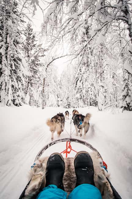 Ruka: 5km Husky Safari with Snacks and Campfire - Should you book the 5 km safari?
