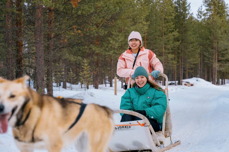 Saariselkä: 10KM Husky Safari with kennel visit - Meeting the Dogs at a Small Kennel