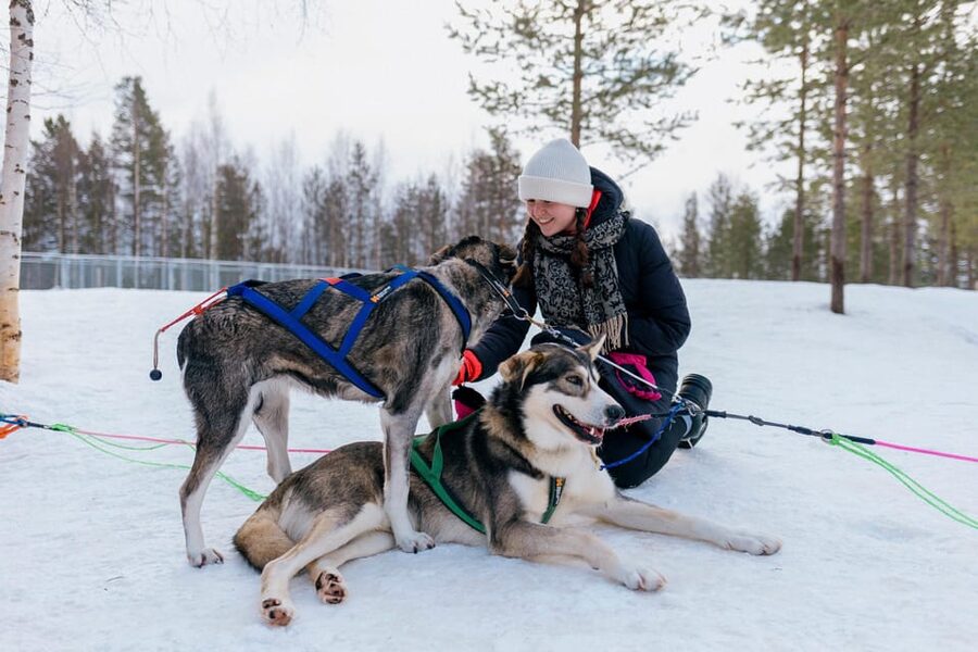 Saariselkä: 10KM Husky Safari with kennel visit - Staying Warm in Northern Finnish Winter