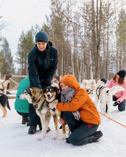 Saariselkä: 10KM Husky Safari with kennel visit - Who Will Enjoy This Most