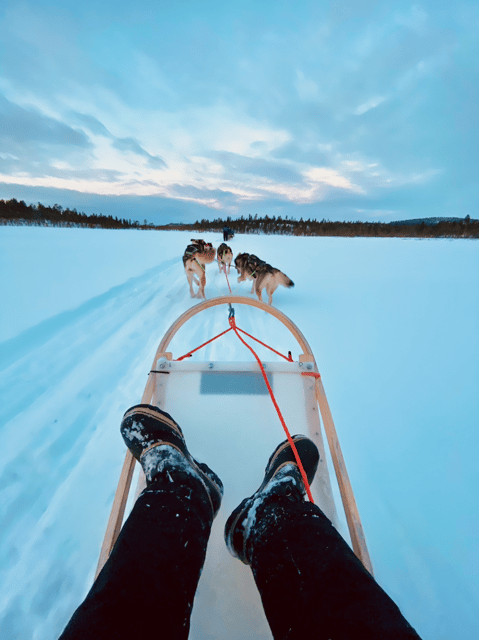 Saariselkä: 10KM Husky Safari with kennel visit - A Forest Ride with Two Very Different Views