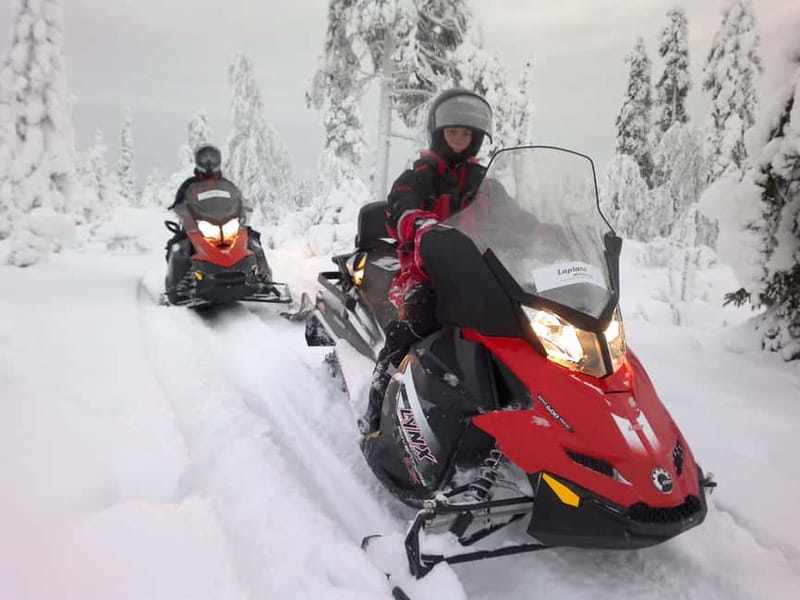 Saariselka: Snowmobile Safari on Tundra with BBQ - Forest tracks, open fields, and winter views