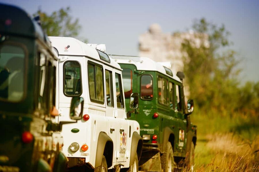 Safari 4x4 in Camargue / VIP Tour 3h30 / Grau du Roi - A 4x4 route through the Camargue