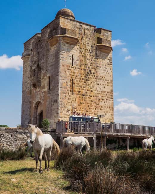 Safari 4x4 in Camargue / VIP Tour 3h30 / Grau du Roi - Wildlife watching in the marshes