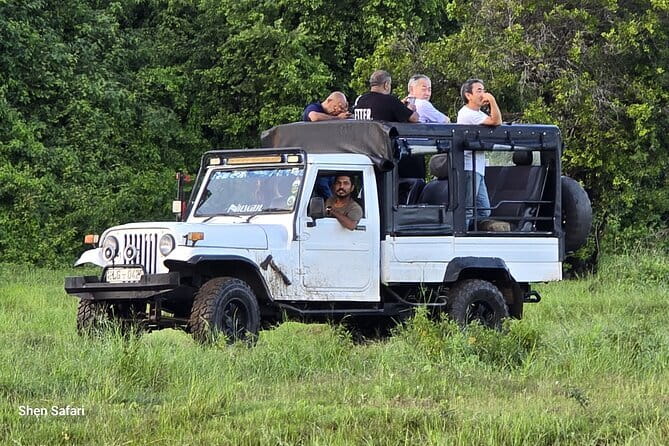 Safari Adventure in Minneriya national Park Sri Lanka - Around the Minneriya Tank