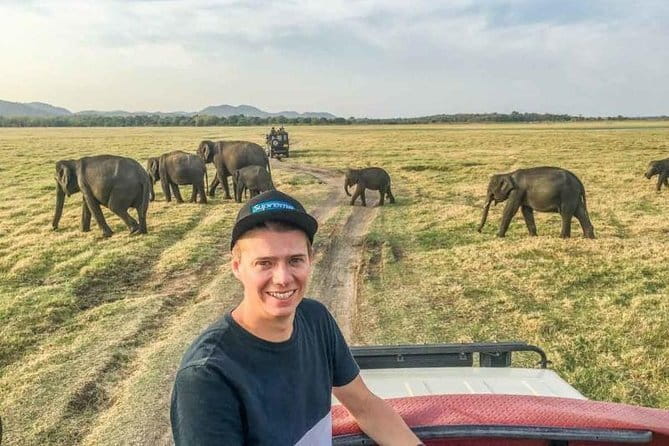 Safari Adventure in Minneriya national Park Sri Lanka - Practical details before you book
