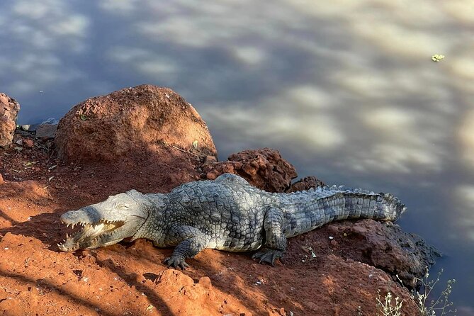 safari at the bandia reserve - Who Should Book This Safari?