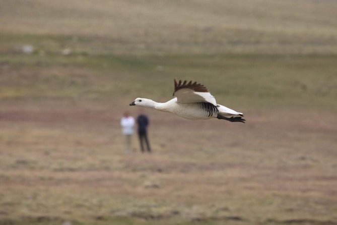 SAFARI EXPERIENCE - WILDLIFE & STEPPE - Fossilized oysters and an ancient sea