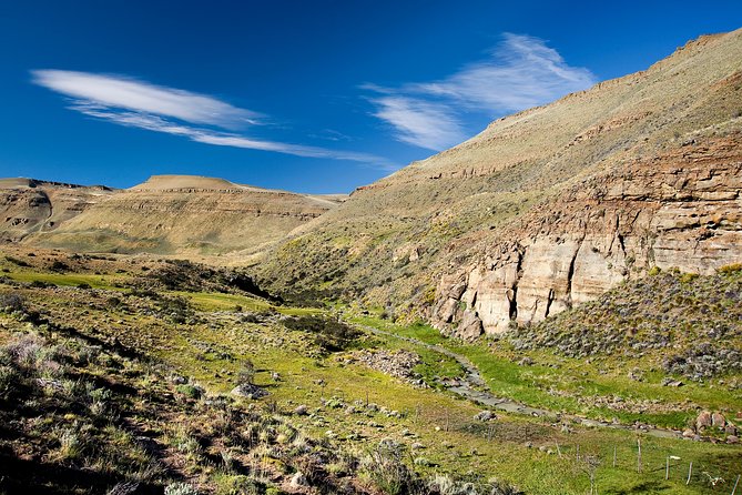 SAFARI EXPERIENCE - WILDLIFE & STEPPE - Searching for wildlife among native plants