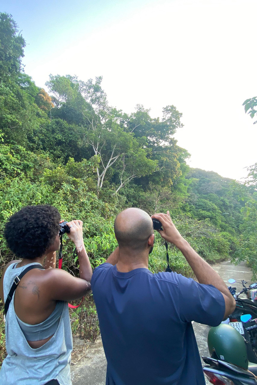 Safari - Finding the most endangered monkey in the World - Keeping the encounter respectful