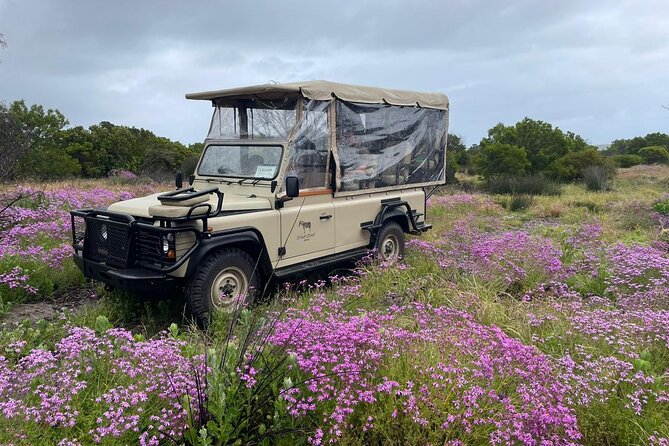 Safari Game Drive - Yzerfontein - Is $28.74 a good price?