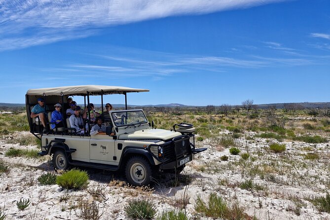 Safari Game Drive - Yzerfontein - Starting at the Weskus Padstal
