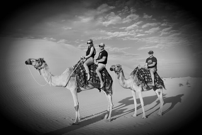 Safari Half-Day Adventure from Abu Dhabi - From Abu Dhabi streets to open desert