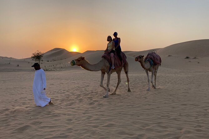 Safari Half-Day Adventure from Abu Dhabi - Tanoura and belly dancing after dark
