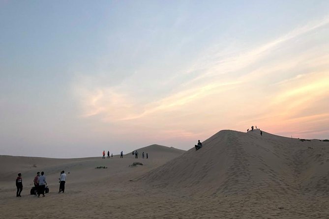 Safari Half-Day Adventure from Abu Dhabi - Is $62 good value from Abu Dhabi?