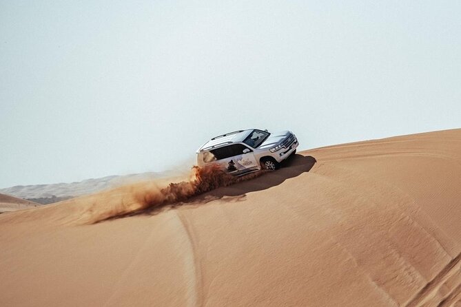 Safari Half-Day Adventure from Abu Dhabi - Who will enjoy this desert evening?