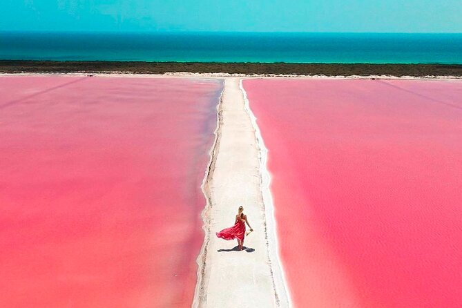 Safari in Rio Lagartos, Coloradas and Mayan Bath - The long ride from Cancun shapes the whole day