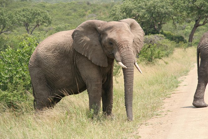 Safari & PheZulu Village Day Tour from Durban - PheZulu Village puts Zulu culture on the schedule