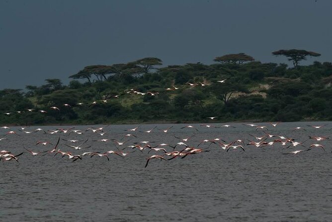 Safari Serengeti And Ngorongoro - Meals, lodging, and what the price covers