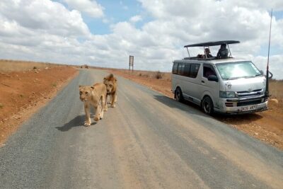 Safari Tour; Nairobi National Park