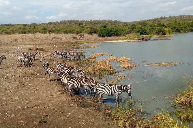 Safari Tour; Nairobi National Park - Who will enjoy this safari most