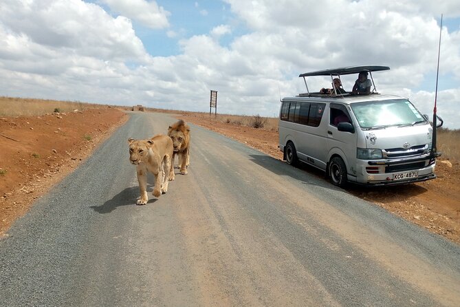 Safari Tour; Nairobi National Park - Entering the park in an open-roof van