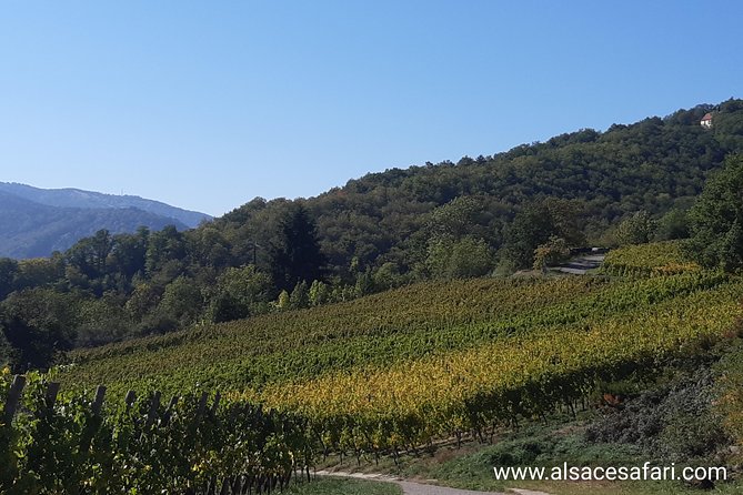 Safari-Tour Villages and vineyard, 1/2 day afternoon - What the small vehicle changes