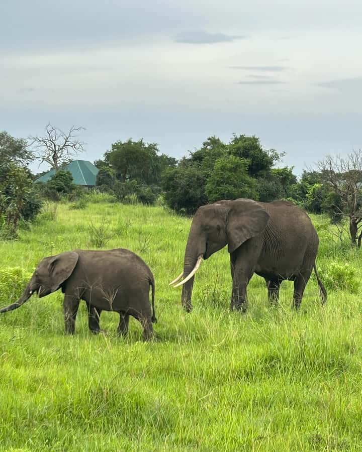 SAFARI WILDLIFE 3 DAYS 2 NIGHT FROM ZANZIBAR TO MIKUMI - Day one: ferry, train, Morogoro, and the Maasai village