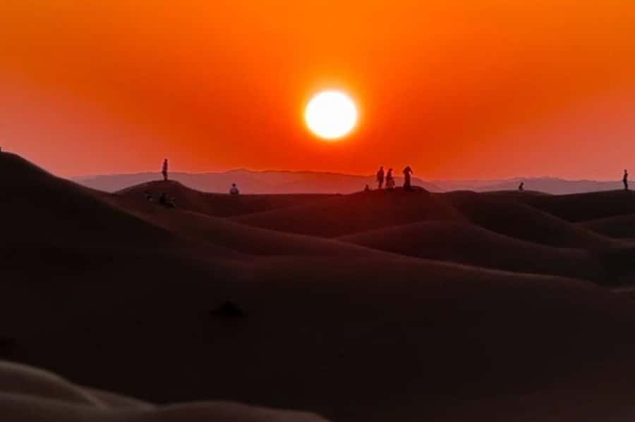 Salalah: Sunset desert safari tour in salalah(private tour) - Thumrait, Karak tea, and a useful pause