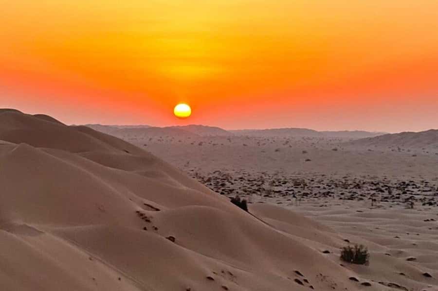 Salalah: Sunset desert safari tour in salalah(private tour) - Dune driving before the Rub’ al Khali sunset