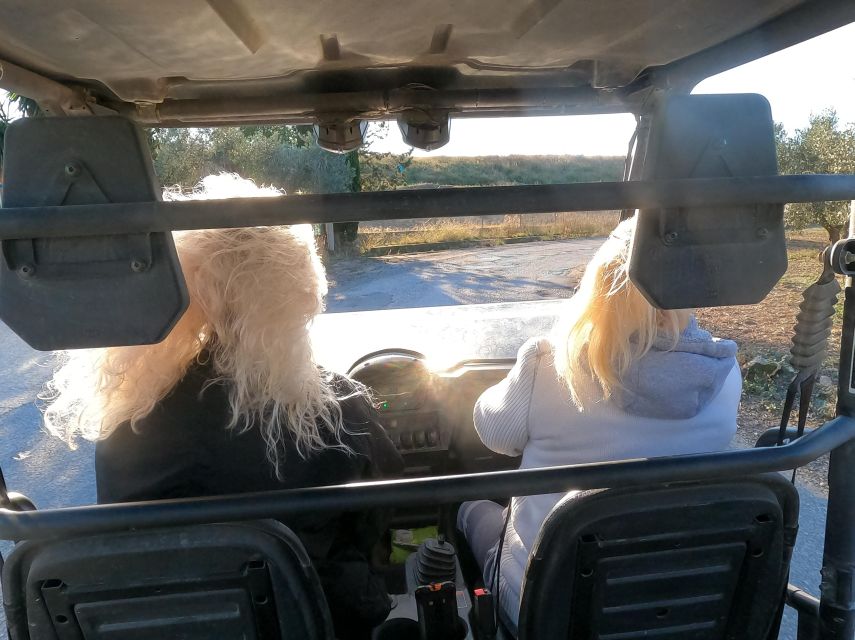 Salou: Buggy Safari with Hotel Transfer - From Salou’s hotels to the dirt tracks