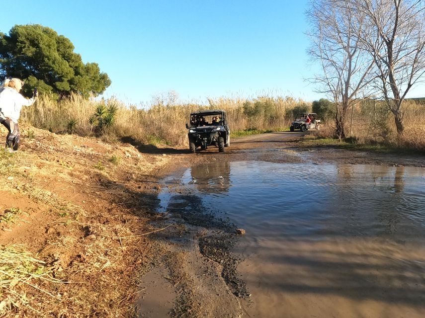 Salou: Buggy Safari with Hotel Transfer - Guides who keep the outing moving