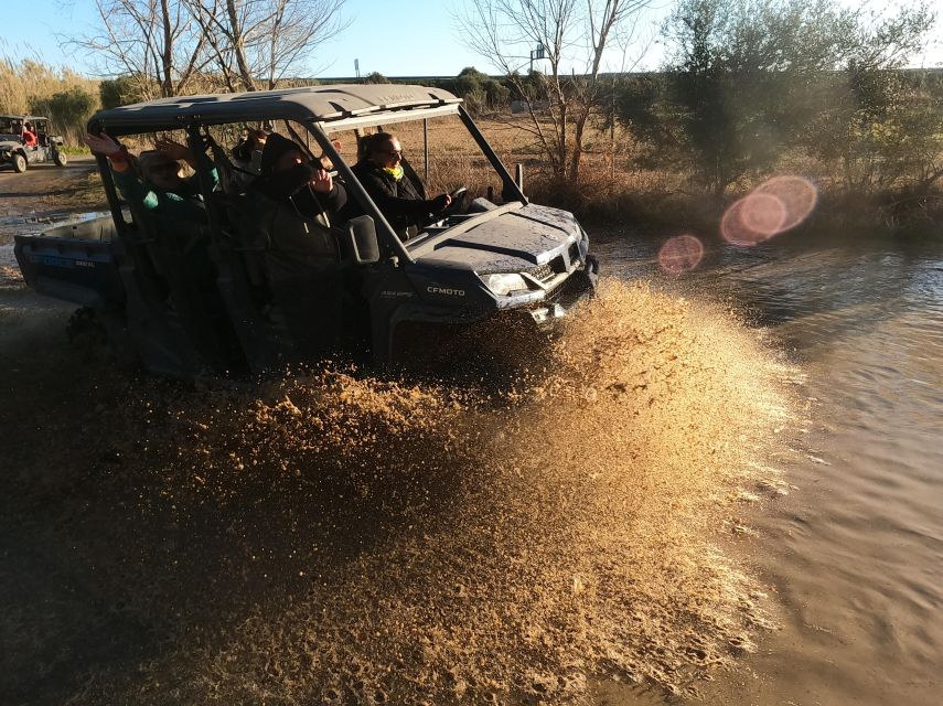 Salou: Buggy Safari with Hotel Transfer - Is $177 good value for two people?