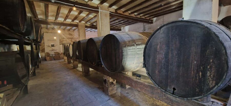 Salou safari: Park Samá with 1 vermouth tasting&hotel Pickup - How the guide affects the experience
