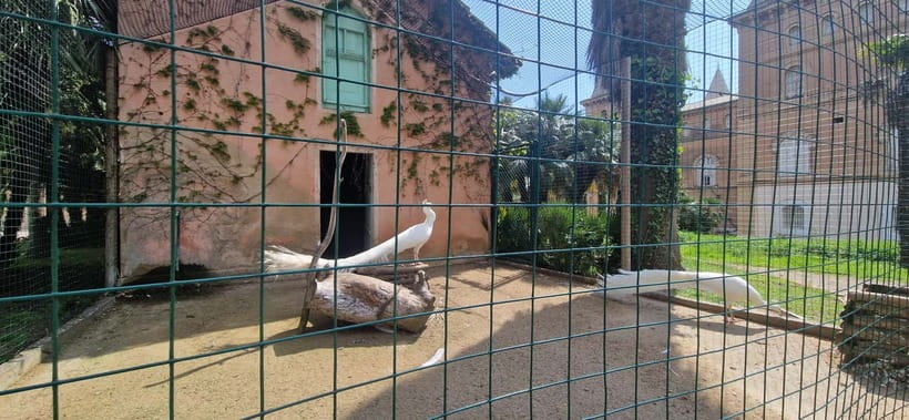 Salou safari: Park Samá with 1 vermouth tasting&hotel Pickup - Is $47 good value?