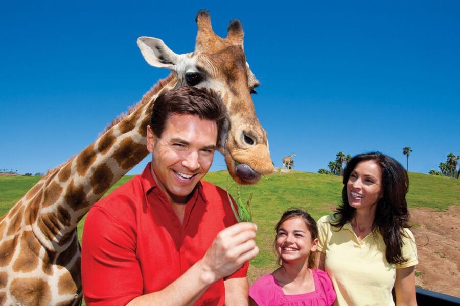 San Diego: San Diego Zoo Safari Park 1-Day Ticket - Key points to know before you go