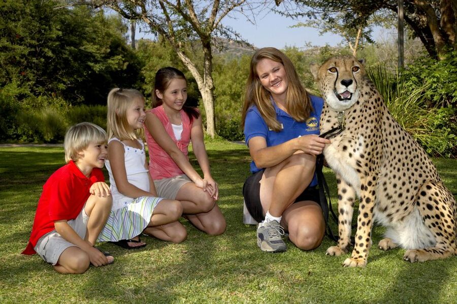 San Diego: San Diego Zoo Safari Park 1-Day Ticket - What makes this park different from the San Diego Zoo