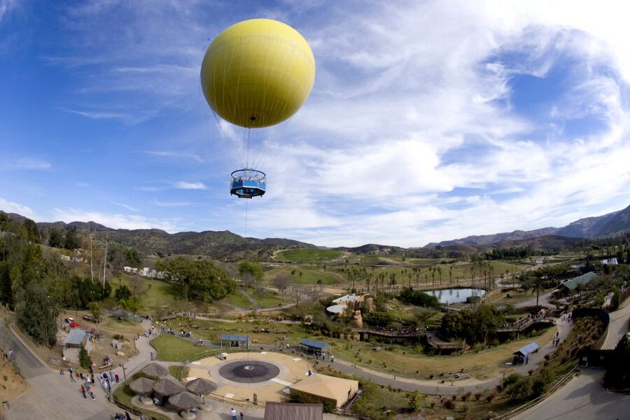 San Diego: San Diego Zoo Safari Park 1-Day Ticket - Africa Tram turns several habitats into one easy ride