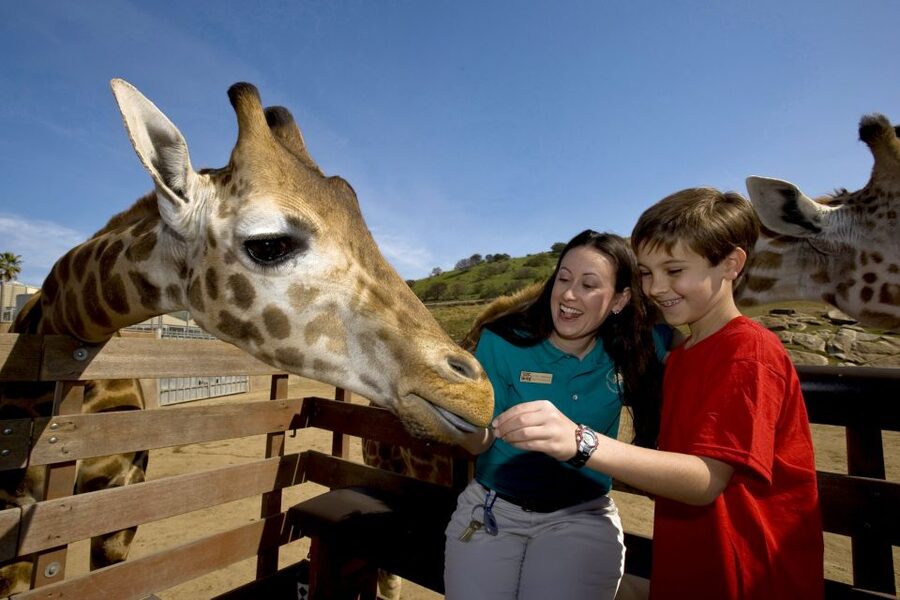 San Diego: San Diego Zoo Safari Park 1-Day Ticket - Lion Camp and Tiger Trail bring you close to big cats